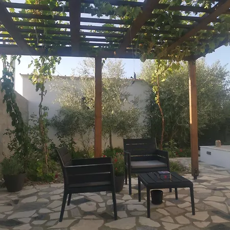 فيلة 2015 فلورا