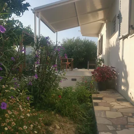 2015 فيلة